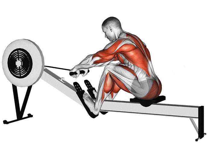 Raw Rowing Exercise The Best Rowing Workouts For Beginners And Advanced - Rebirth